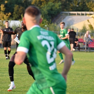legsad-piast-fot-ewajak005.JPG