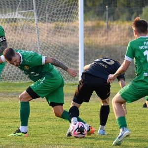 legsad-piast-fot-ewajak016.JPG