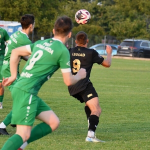 legsad-piast-fot-ewajak103.JPG
