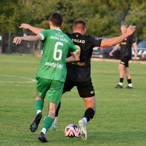 legsad-piast-fot-ewajak104.JPG