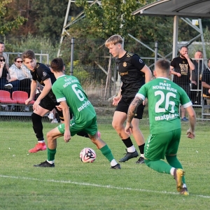 legsad-piast-fot-ewajak110.JPG