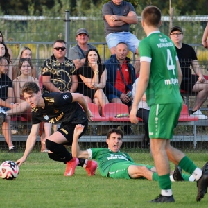 legsad-piast-fot-ewajak113.JPG
