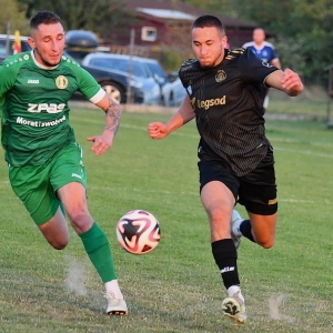 legsad-piast-fot-ewajak117.JPG