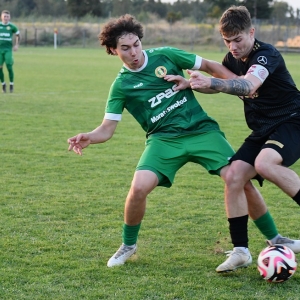 legsad-piast-fot-ewajak145.JPG