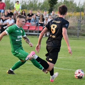 legsad-piast-fot-ewajak166.JPG