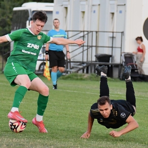 legsad-piast-fot-ewajak205.JPG