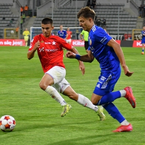 miedz-wisla-fot-ewajak032.JPG