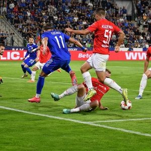 miedz-wisla-fot-ewajak036.JPG