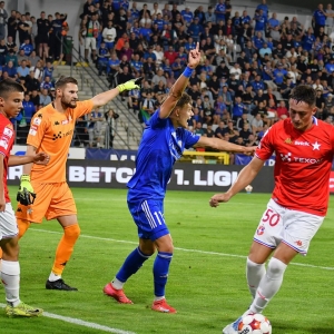 miedz-wisla-fot-ewajak038.JPG