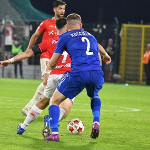 miedz-wisla-fot-ewajak123.JPG