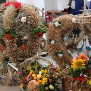 dozynki-pielgrzymka-fot-zbigniew-jakubowski005.jpg