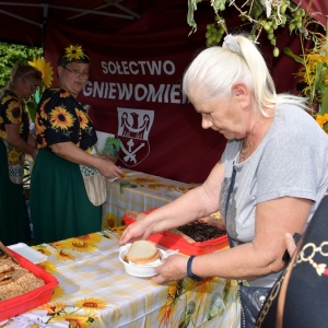 dozynki-legpol-fot-ewajak219.JPG