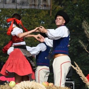 dozynki-legpol-fot-ewajak268.JPG