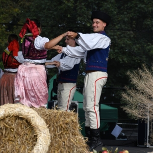 dozynki-legpol-fot-ewajak269.JPG