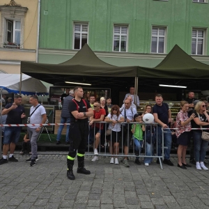 rekord-piernik-fot-jagoda-balicka075.JPG