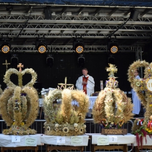 dozynki-ruja-fot-joanna-ziezula077.JPG