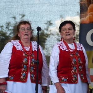 dozynki-mecinka-fot-ewajak298.JPG