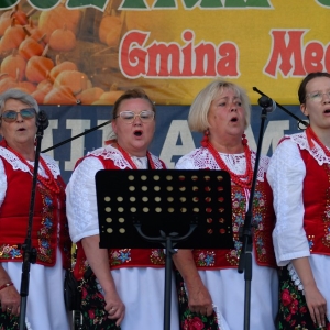 dozynki-mecinka-fot-ewajak299.JPG