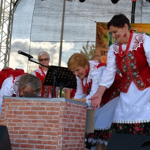 dozynki-mecinka-fot-ewajak329.JPG