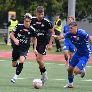 miedz2-gornik-fot-ewajak150.JPG