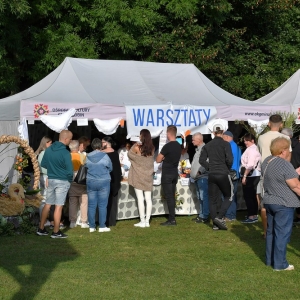 festival-kapusty-fot-ewajak003.JPG
