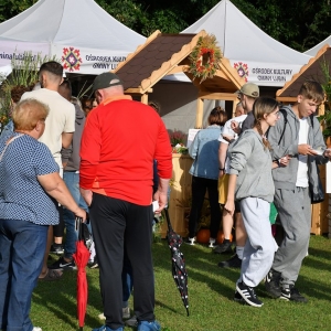 festival-kapusty-fot-ewajak004.JPG