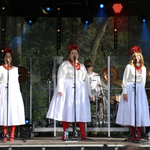 festival-kapusty-fot-ewajak009.JPG