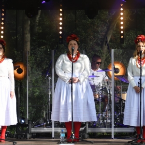 festival-kapusty-fot-ewajak017.JPG