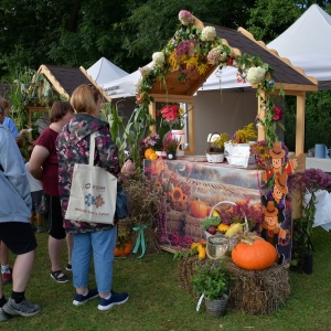 festival-kapusty-fot-ewajak067.JPG