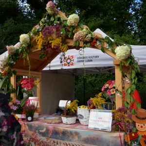 festival-kapusty-fot-ewajak068.JPG