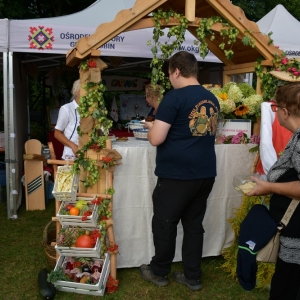 festival-kapusty-fot-ewajak085.JPG