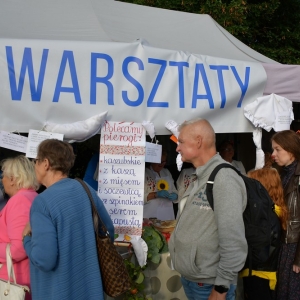 festival-kapusty-fot-ewajak102.JPG