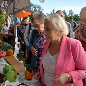 festival-kapusty-fot-ewajak109.JPG