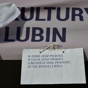 festival-kapusty-fot-ewajak125.JPG