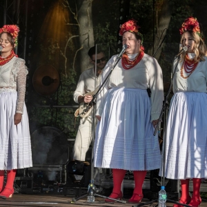 festival-kapusty-fot-ewajak151.JPG