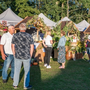 festival-kapusty-fot-ewajak214.JPG