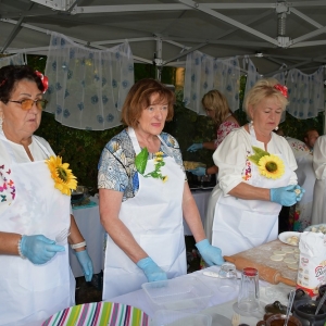 festival-kapusty-fot-ewajak237.JPG
