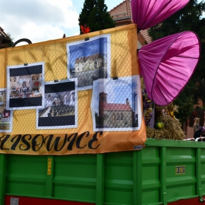 dozynki-prochowice-fot-zbigniew-jakubowski007.jpg