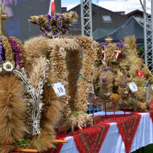 dozynki-prochowice-fot-zbigniew-jakubowski168.jpg