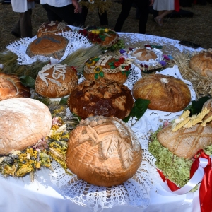 otwrcie-dozynek-fot-ewajak001.JPG