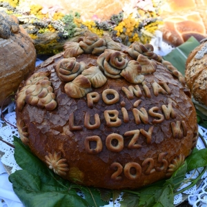 otwrcie-dozynek-fot-ewajak009.JPG
