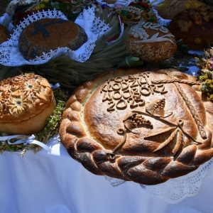 otwrcie-dozynek-fot-ewajak010.JPG