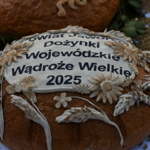 otwrcie-dozynek-fot-ewajak022.JPG