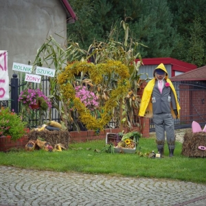 dozynki-polkowice-fot-um04.jpg
