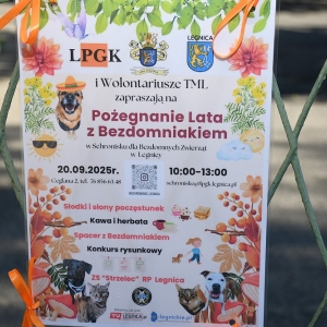 bezdomianki-lato-fot-zjak03.JPG