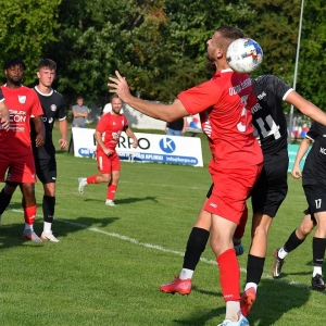 jawor-odra-fot-ewajak026.JPG