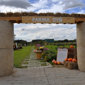 farma-dyni-fot-ewajak003.JPG