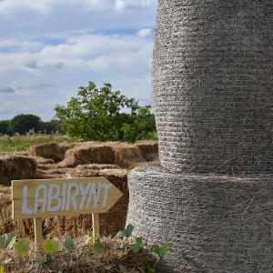 farma-dyni-fot-ewajak074.JPG
