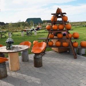 farma-dyni-fot-ewajak096.JPG