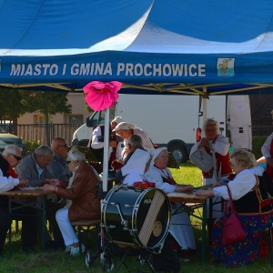 ziemniak-prochowice-fot-zjak02.JPG